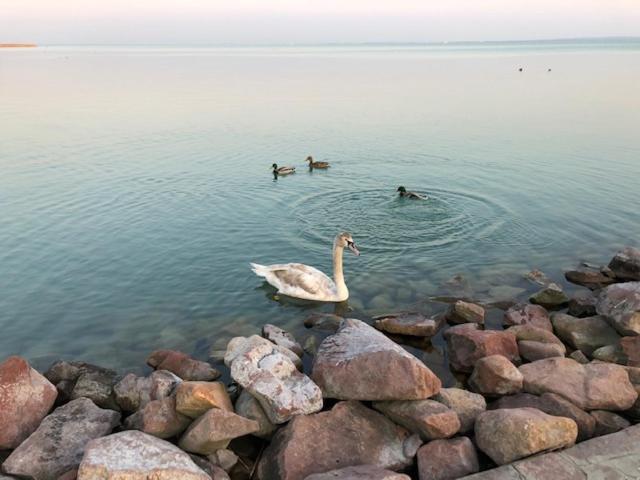 Hotel Astoria Balatonfüred Dış mekan fotoğraf